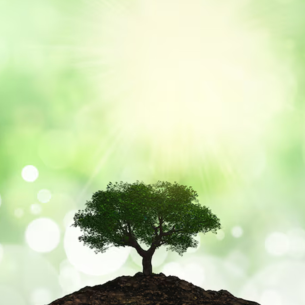 Coastal Recycling Management Pvt. Ltd.